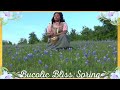Bucolic Bliss: Spring