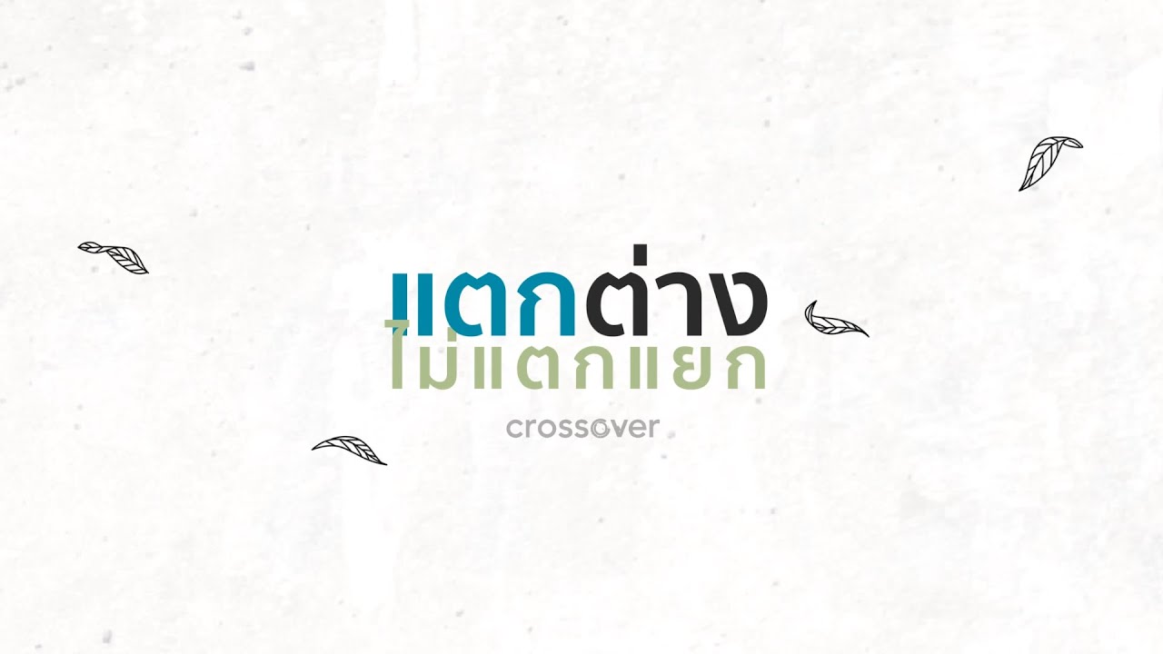 แตกต่างไม่แตกแยก thumbnail