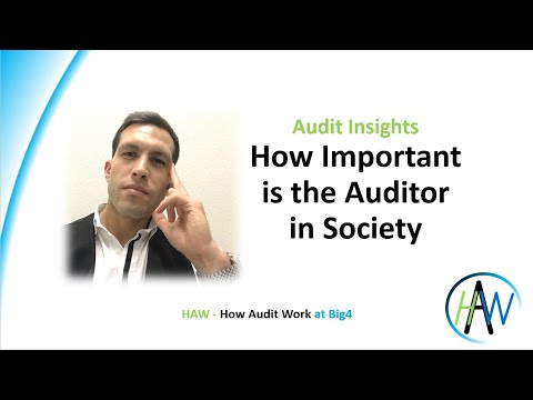 How Important is the Auditor in Society - Audit Insights