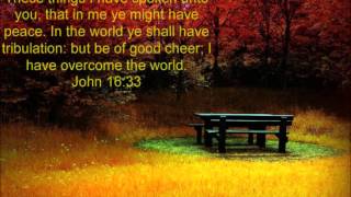 20:17 (Raise The Banner High) Audio Adrenaline