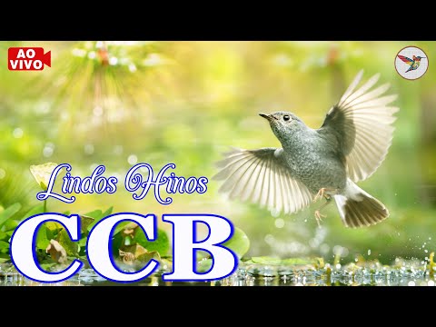 HINOS CCB 2023 🌹 CÂNTICOS E SÚPLICAS 🌹 LOUVORES E ADORAÇÃO, Culto Online CCB