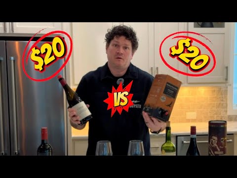 $20 BOX WINE vs $20 BOTTLE | Which One’s Actually Better?
