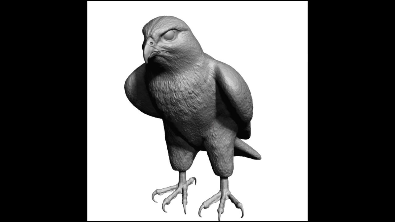 Forma base dell'uccello falco Modello 3D