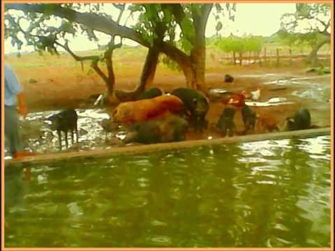 Refranero x - Jesus Moreno