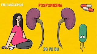 FOSFOMICINA | PARA QUÉ SIRVE