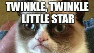 chack + grumpy cat amv★☆i love you more than i hate my period