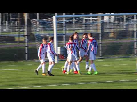 (C) Thom Hooiveld asc nieuwland 10-2-18