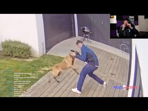 Police K-9 Rips Man To Pieces | DJ Ghost Reaction