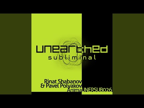 Anima (Solid Stone's On The Beach Remix)