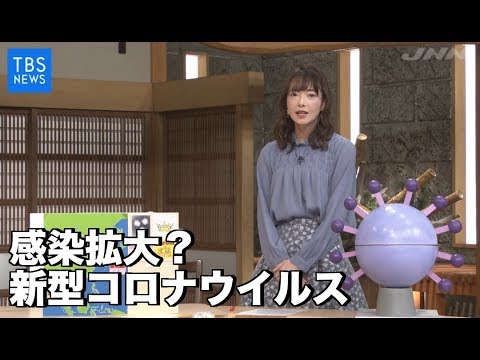 コロナウイルス: 病原体の小さな特徴が恐ろしい影響を与える