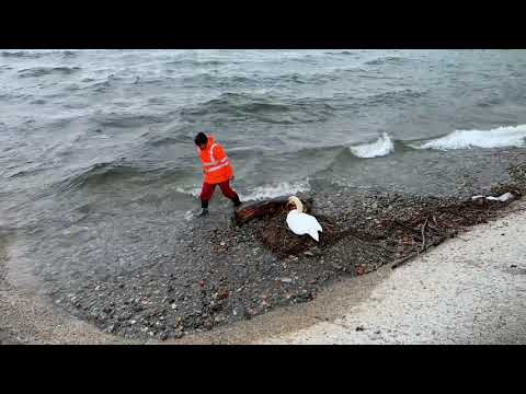 Wellenbrecher gesetzt