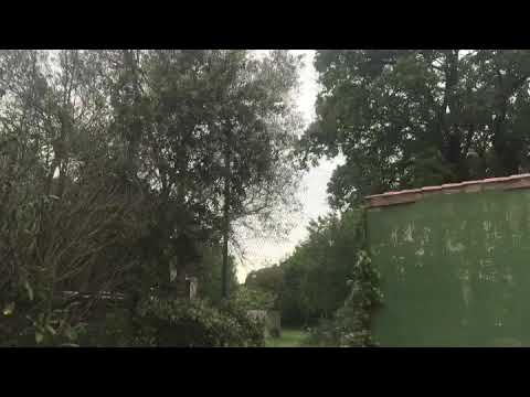 BAMBY X JAHYANAI, ragga dance