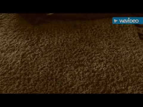 (Official Video)NIMEBADILIKA - PF Nludt ft SACCO