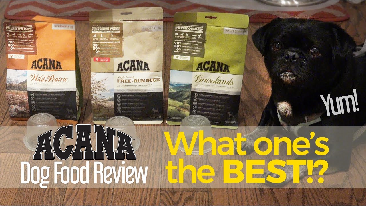 Do you know which variety of ACANA Kilo liked best Dog Food Product Review.