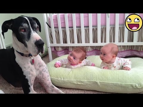 30 Minutes of Cutest Baby and Dog Friendships Ever! 🐶👶❤️