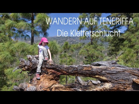 Wandern auf Teneriffa: Tour 28 - Die Kletterschlucht von Arico