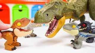 Jurassic World Big Tyrannosaurus Rex Appears!!  Play with Jurassic World Snap Squad | ToyMoon