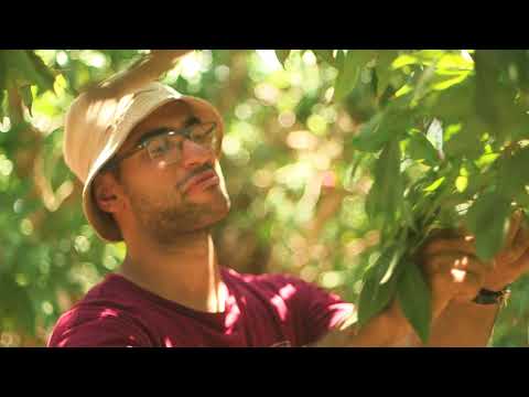 SunDo - סאנדו התנדבות בחקלאות video thumbnail