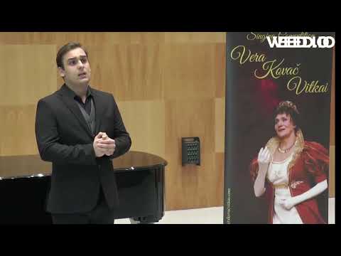 Dušan Dakić, tenor - П. И. Чайквский - "Куда, куда", (Ленский, Евгений Онегин)