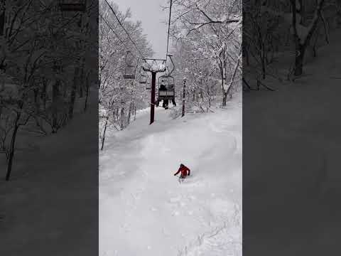 Seki Onsen Powder • 📍 Seki Onsen Ski Area関温泉スキー場 • #travelmore #japantravel #adventure