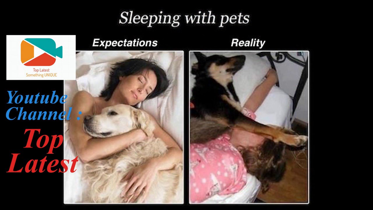 Funny Pictures Part 26