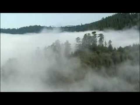 Christian Rusch - Then Came The Rain (Mood Concept Clip)