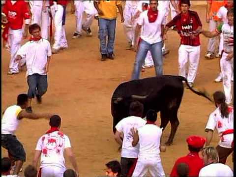 VAQUILLAS dia 10 de Julio 2008