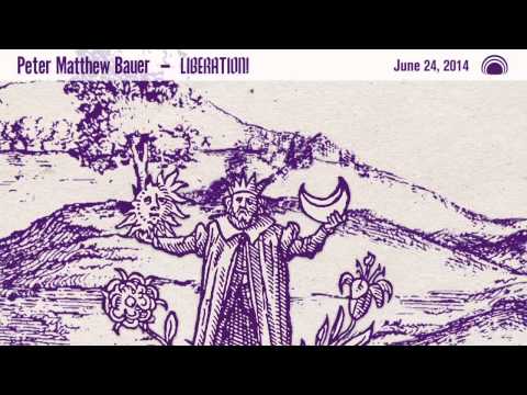 Peter Matthew Bauer - I Was Born in an Ashram (Official Audio)