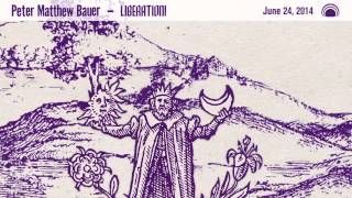 Peter Matthew Bauer - I Was Born in an Ashram (Official Audio)