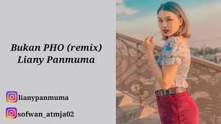 Download lagu Bukan PHO| De Yang Gatal-Gatal Sa Liany Panmuma Ft Aldo BZ(official lirik video) mp3