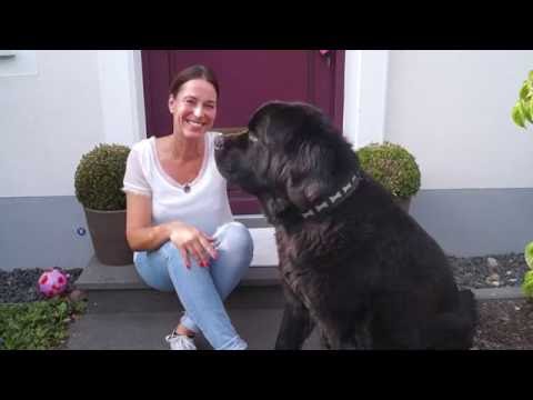 Dein persönliches Wochenorakel vom 01.08 - 07.08.16 - Linda Giese