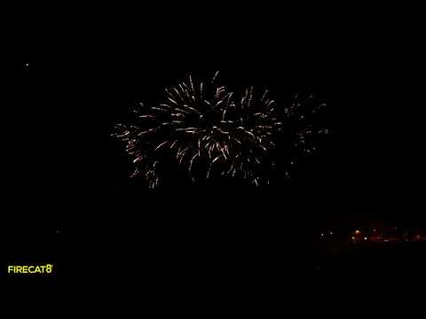 Sky Bacon - Pigzilla