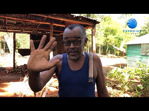 Wesner Bellegarde, Ki Fe Mizik Lago Lago Nwel la, kap esplike kijan sitiyasyon lavil ye. ah mezanmi