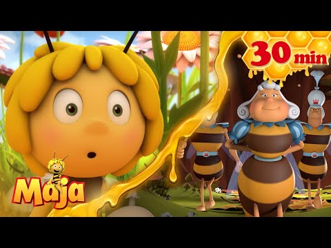 🎁 Die Überraschungsparty beginnt! - Die Biene Maja🐝🍯🐝 - FULL COMPILATION