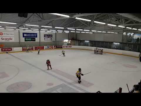 HPK VALKOINEN - PINGVIINIT