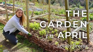 The Garden in April
