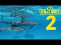 2 DOLPHINS From Sesame Street Children S Music Video By Dia All Day