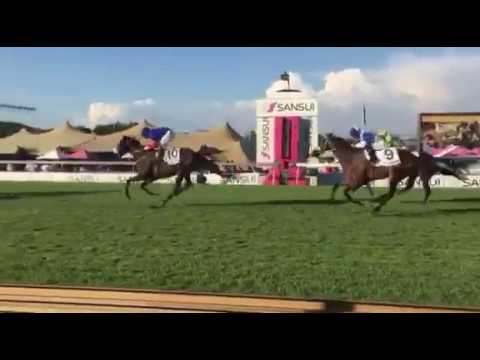 Sansui Summer Cup 2016