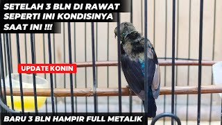 Download lagu KONIN FAST FEATHER MUTATION AND QUICK FINISH❗APPLY THIS TREATMENT❗ mp3 Download lagu KONIN FAST FEATHER MUTATION AND QUICK FINISH❗APPLY THIS TREATMENT❗ mp3