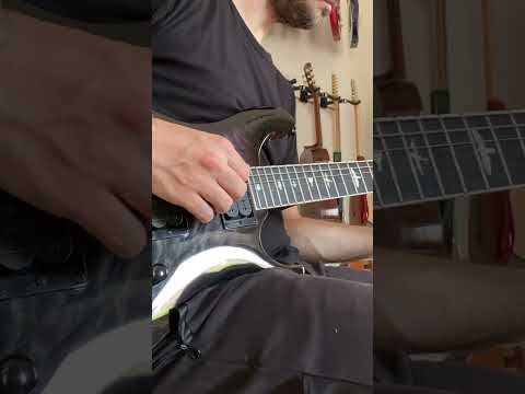 Immagine PRS SE Mark Holcomb 24-Fret HH - Holcomb Burst - 15