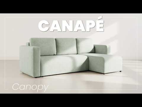 Miniature de la vidéo YouTube