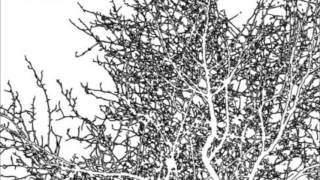 Re_Grad - Version001