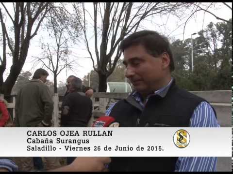 26-06-15 Nota Carlos Ojea Rullan - Surangus e Invitados - Saladillo