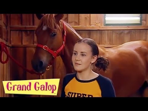 Grand Galop 222 - Les jeux sont faits (Partie 1) | HD | Épisode Complet