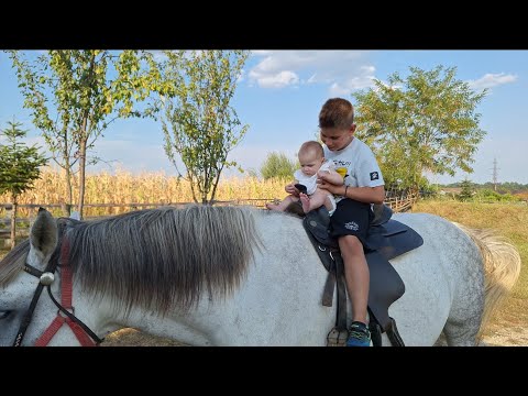 Plaiul Castanilor🌳🌳🌳Agropensiunea turistică🏕️din mijlocul munților🏔️ #montain #agrotourism
