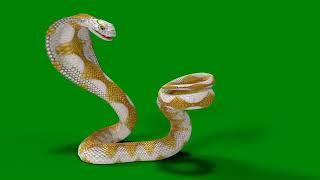 Download lagu Sivanaya  nagin green screen effects Edited by Arpit Singh mp3