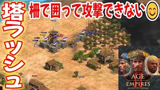 塔ラッシュで味方と挟み撃ち！心を折る作戦！【スペイン, 4vs4, 遊牧, Age of Empires 2 DE, AOE2DE ゲーム実況】