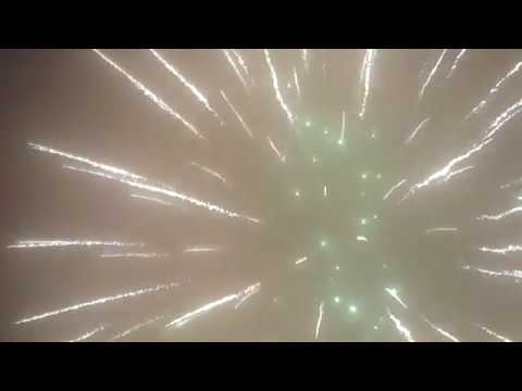 FD3064 Crown chrys with green strobe pistil 3inch