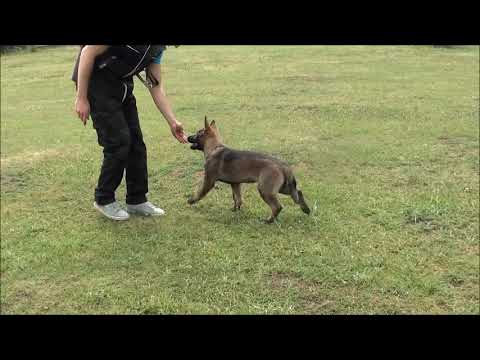 Ultimo z Jukasu (Gucci z Jukasu x Gero z Berounské bašty)