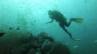 2023 01 泰國 斯米蘭行 普吉島 安達曼海 魚多到看不到潛伴的 Richelieu Rock